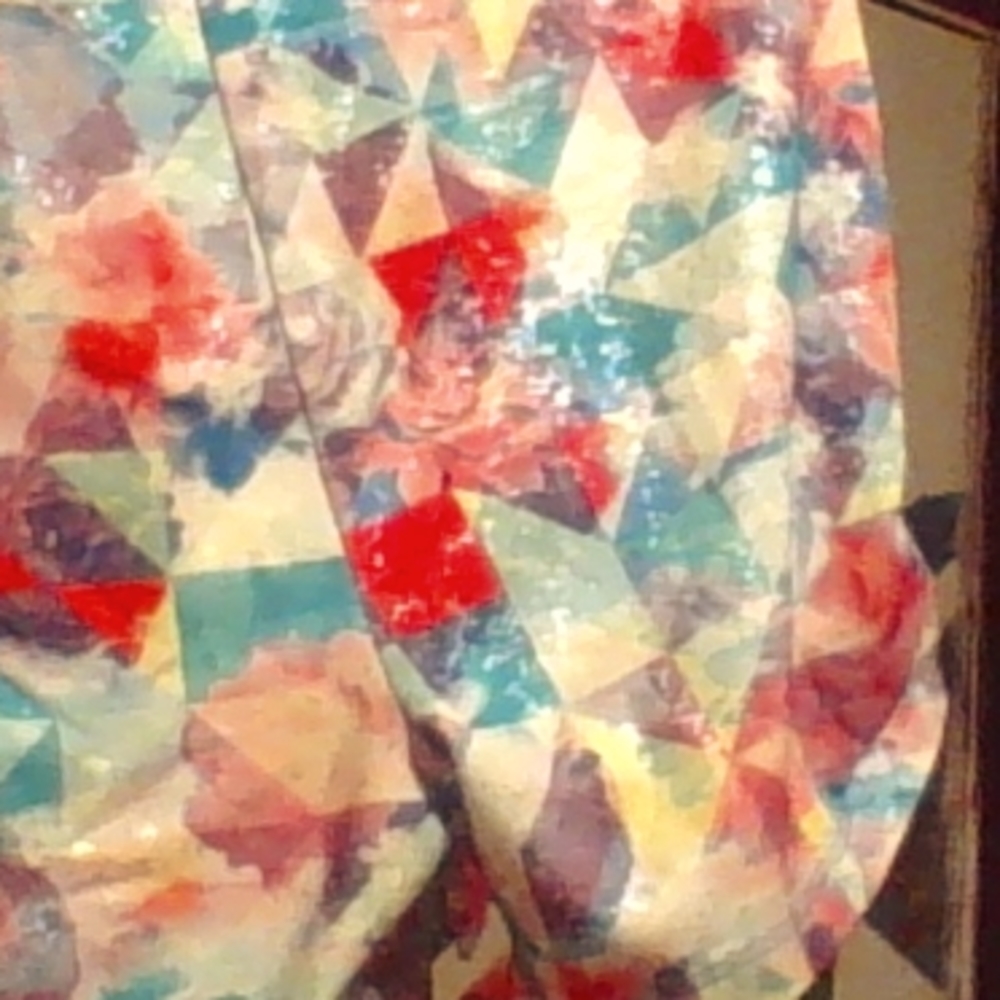 Sparkly biker shorts